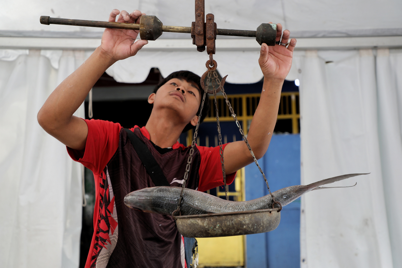 7.Festival Bandeng Rawa Belong.jpg