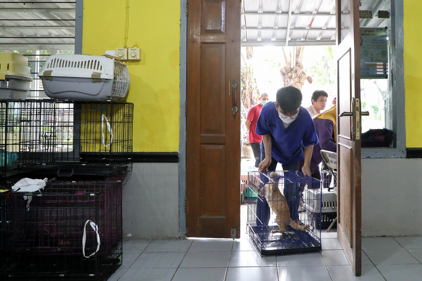 1.Sudin KPKP Bersama YPLI Gelar Sterilisasi Kucing Liar di Cilandak Barat.jpg