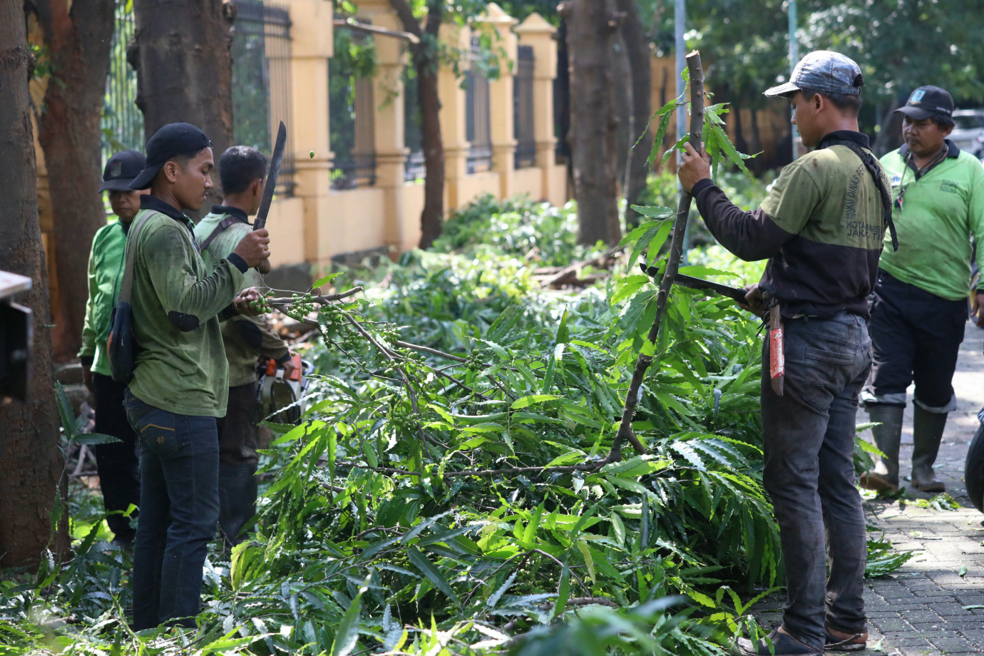 4 Sudin Tamhut Jakarta Timur Toping Pohon di Kantor Walikota Jakarta Timur_4.jpg