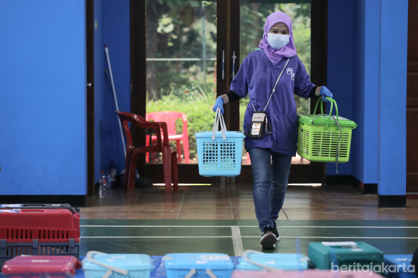 1 Sudin KPKP Jaktim Sterilisasi 107 Kucing Jantan Lokal di Pondok Kelapa_1.jpg