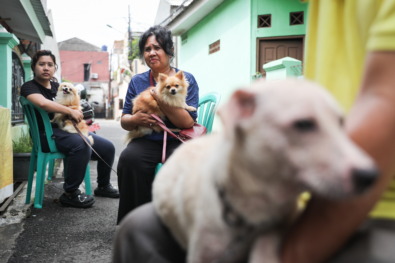 Vaksin Rabies Cilangkap-2.jpg