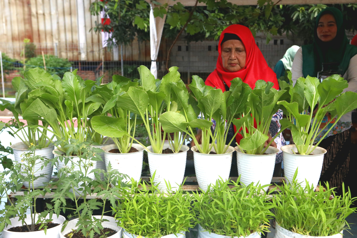 2 Pasar Tani Duren Sawit_2.jpg