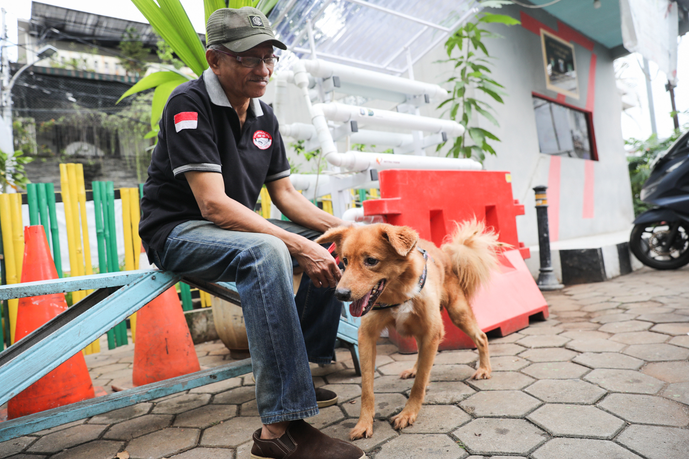 Rabies Manggarai Selatan-2.jpg