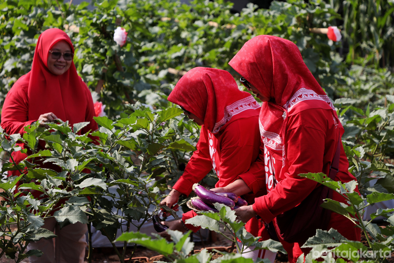 3.Warga RW 12 Cipinang Melayu Manfaatkan Lahan Tidur untuk Urban Farming.jpg