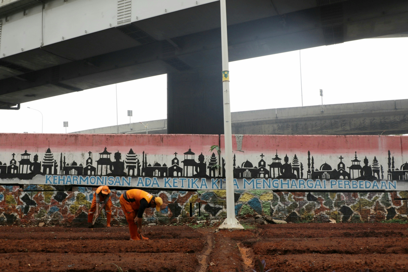 Kawasan Kolong Tol Jampea Disulap Jadi Urban Farming | Beritajakarta.id