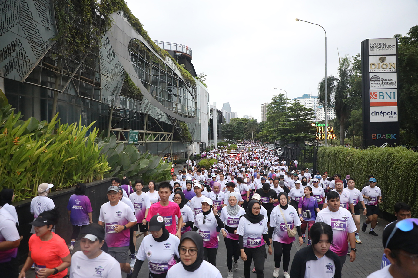 pj-gub-run-for-hope-06.jpg