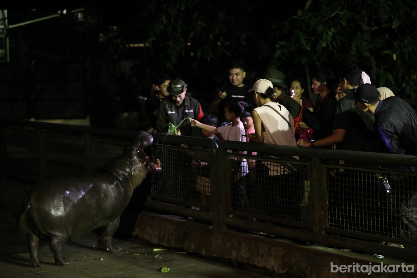 5.Night at The Ragunan Zoo.jpg