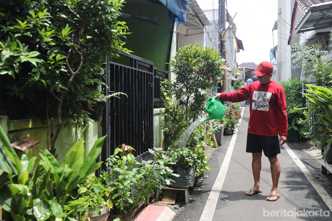 Gang Hijau RT 8 Malaka Jaya-5.jpg