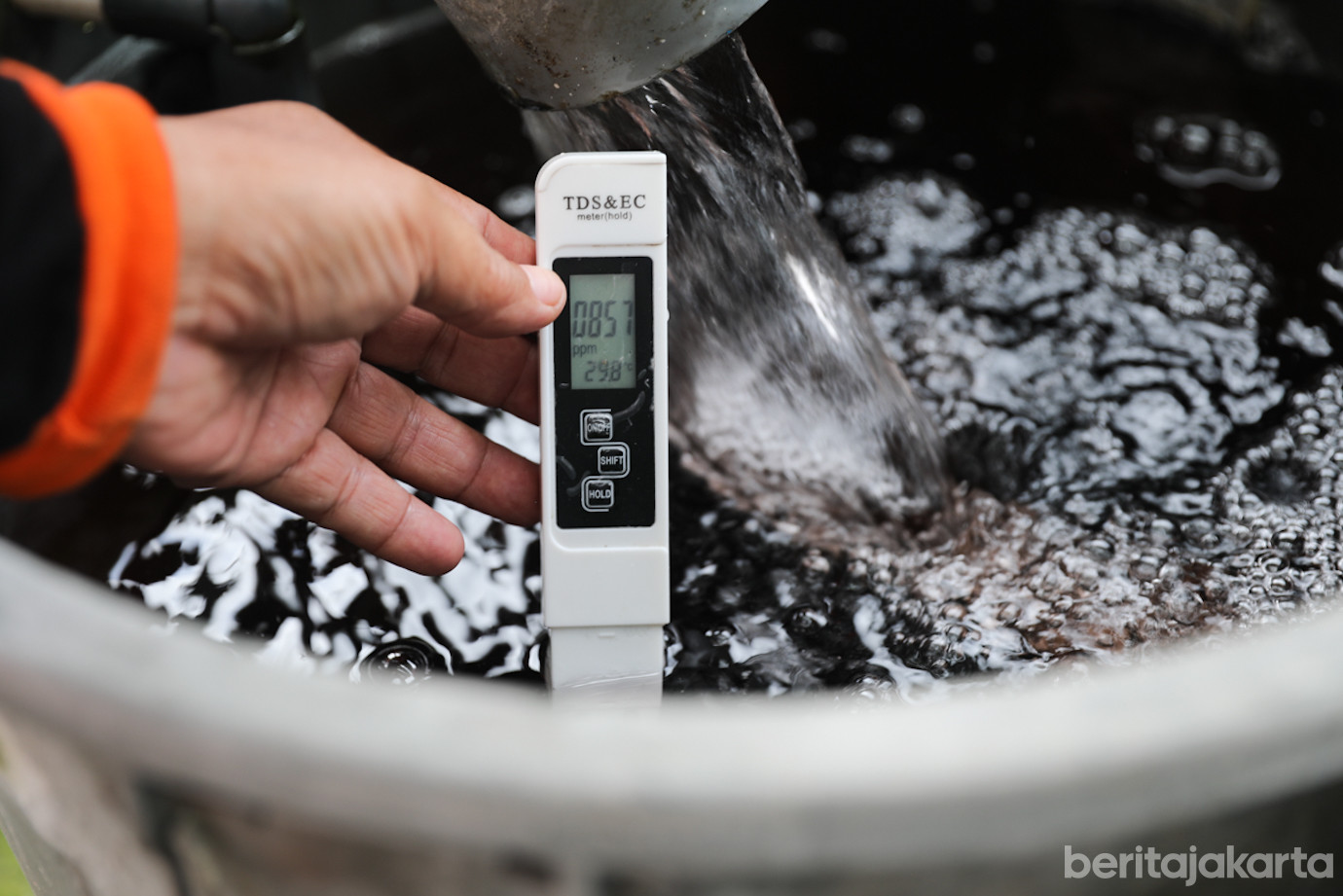 Krukut Mini Farm-4.jpg