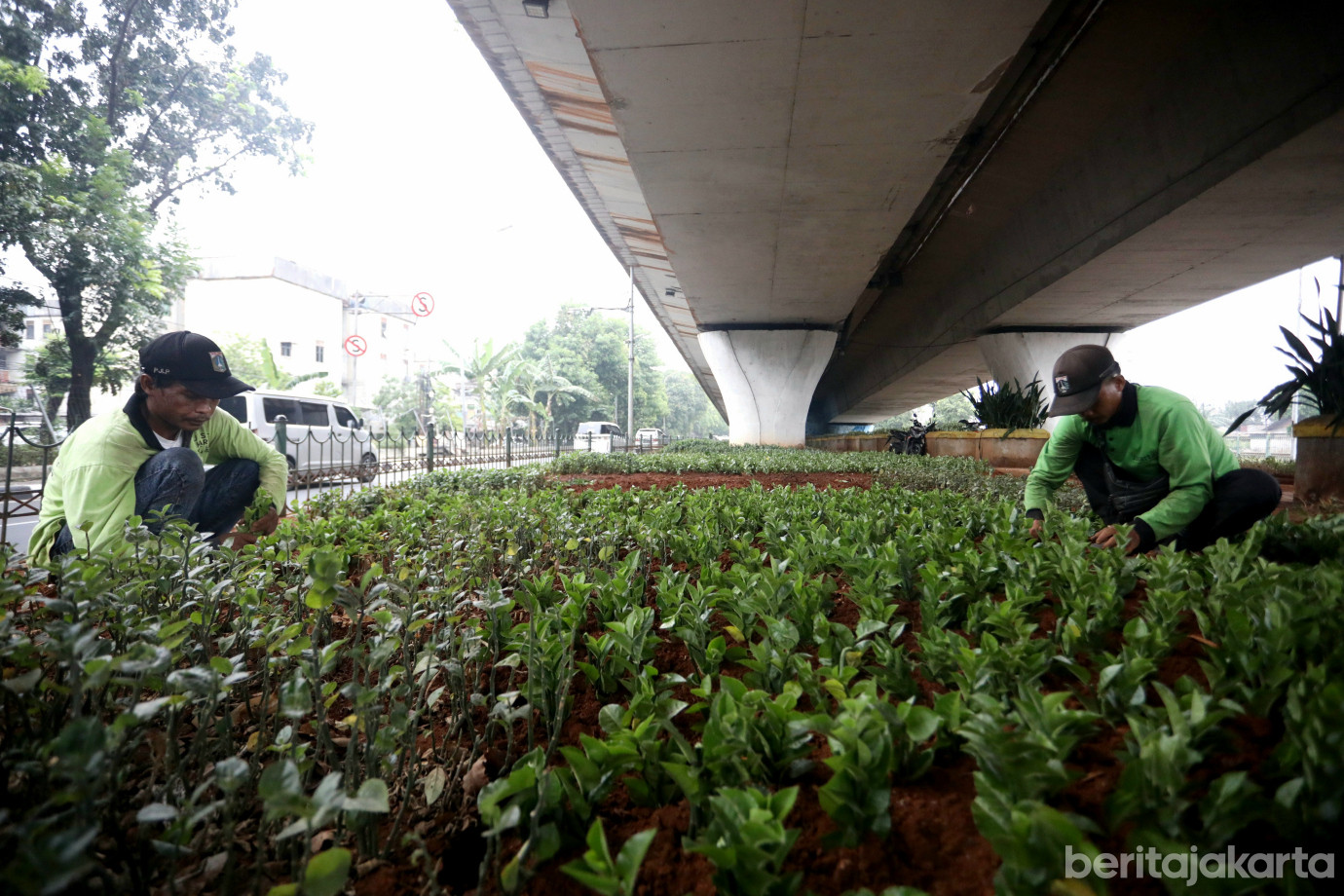 6 Sudin pertamanan per antik kolong Fly Over pondok kopi_6.jpg