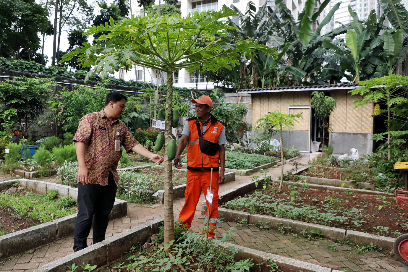 5.Kelurahan Grogol Selatan Ubah Lahan Tidur Jadi Urban Farming.jpg