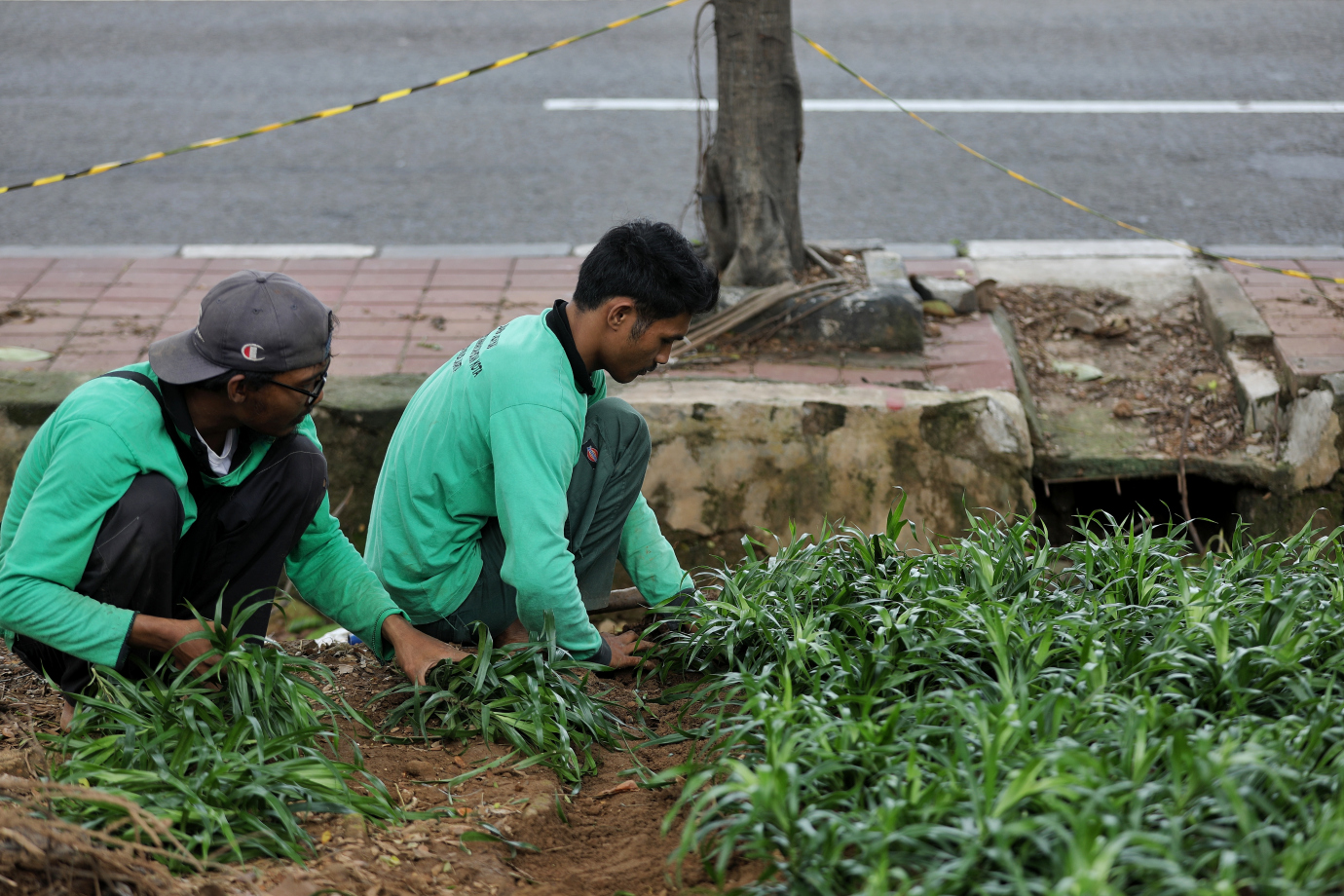 4.Distamhut Lakukan Peremajaan Tanaman Hias di Jalan Kolonel Sugiono.jpg