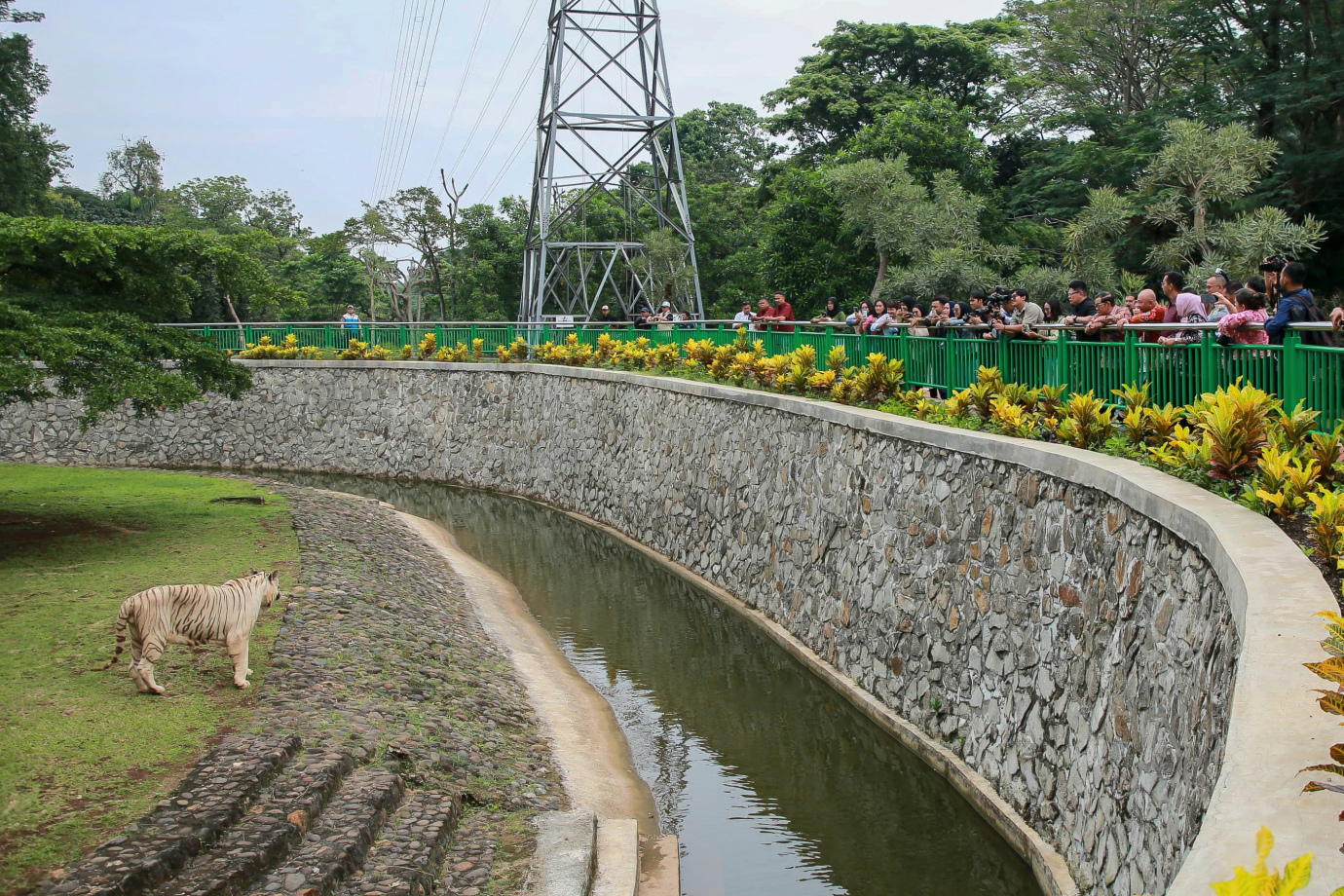 6-1 gubragunan.jpg