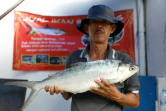 Jaga Tradisi, Rajut Silaturahmi