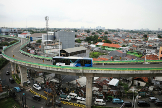 Gigi Balang Menggigit Jakarta