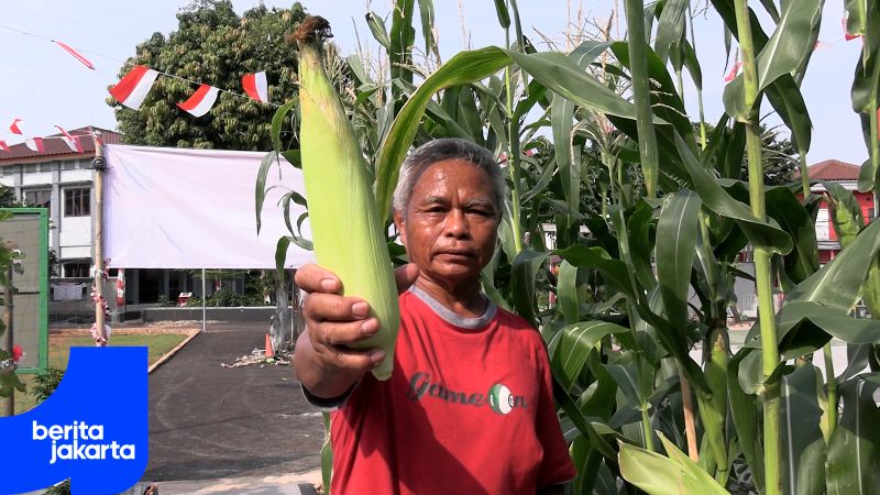 Mengunjungi Poktan Geber Tabur di Cipinang Melayu