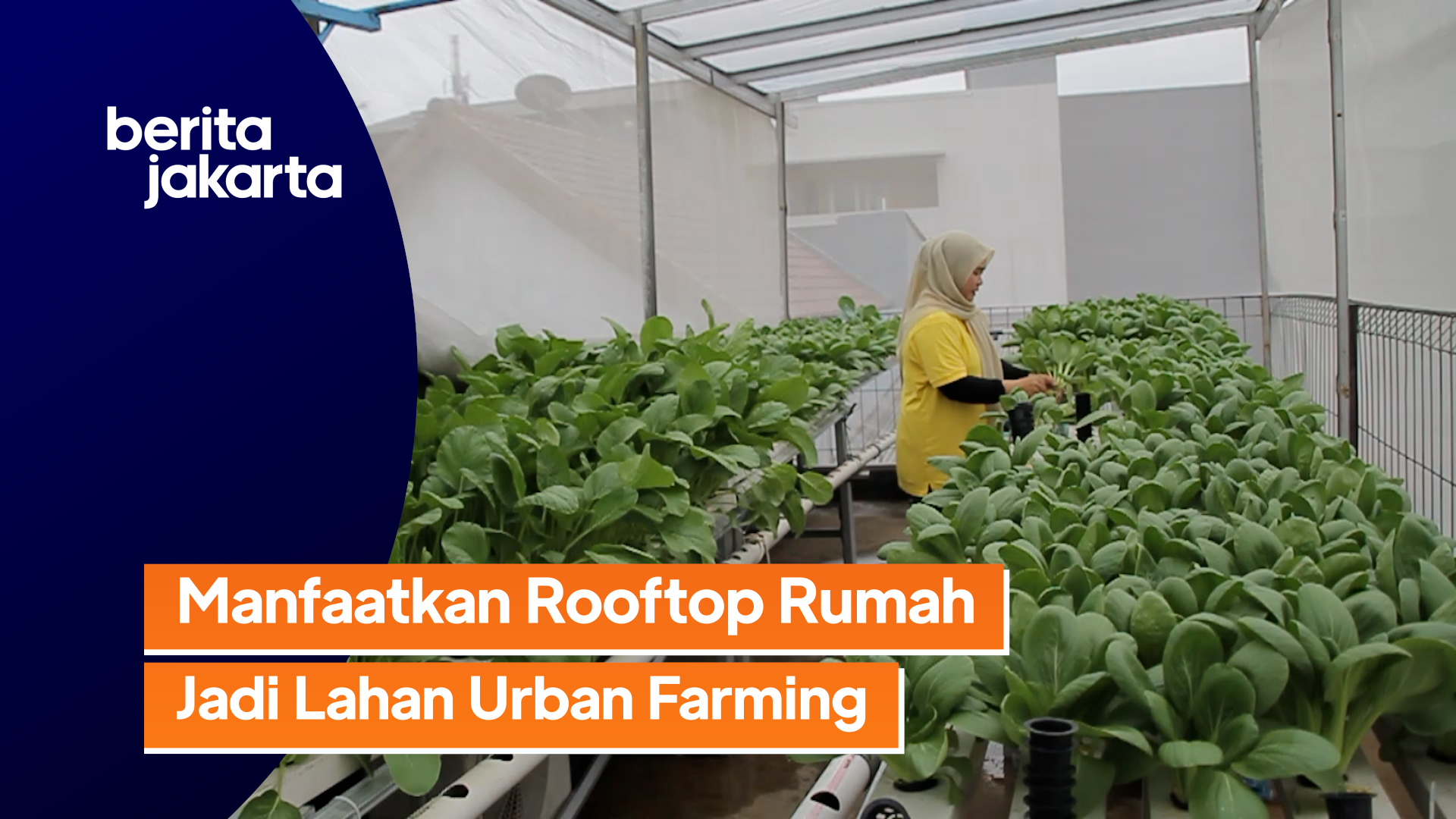 Sakinah Farming.mp4