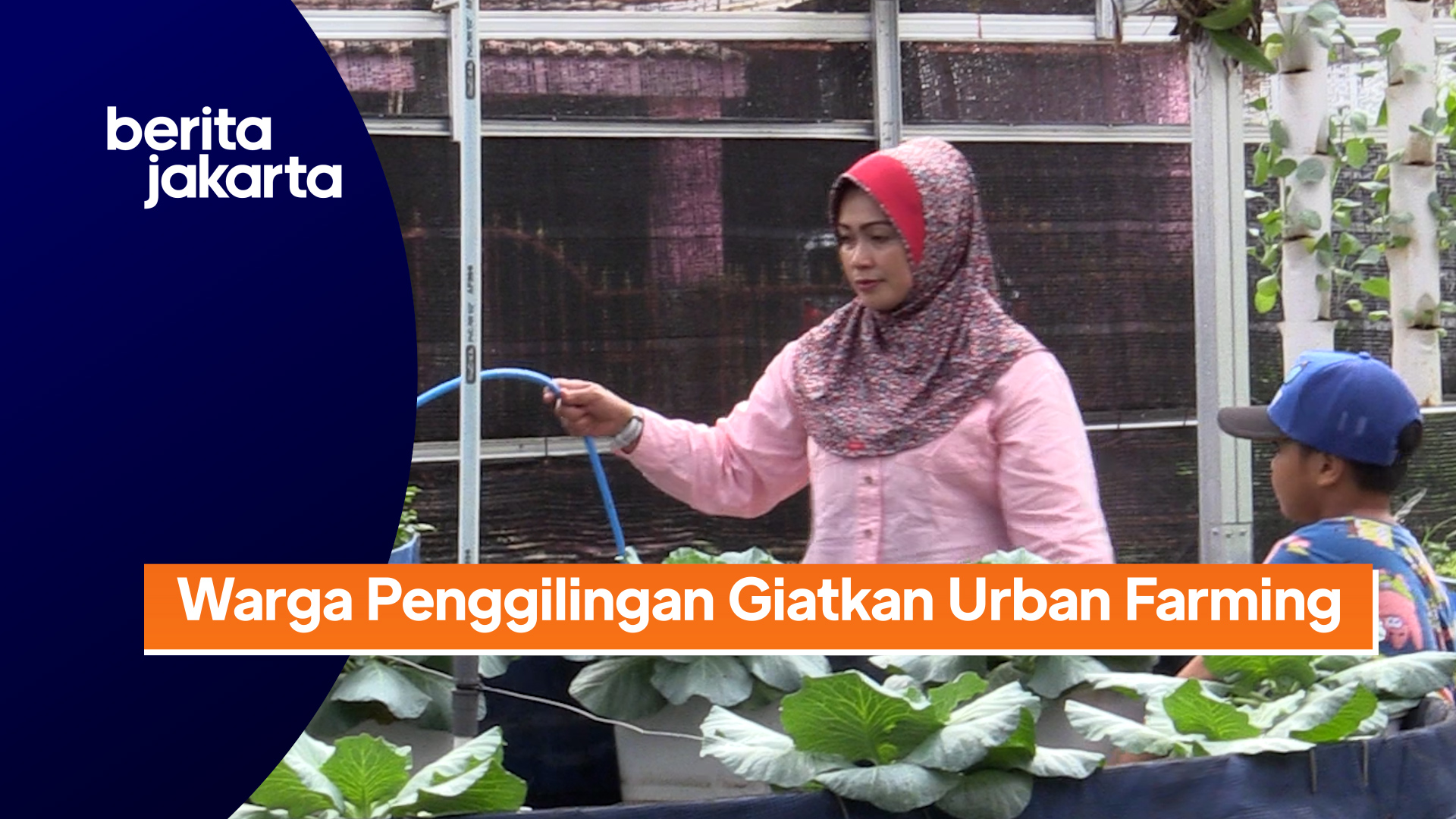 2804_Ramdoni_ urbanfarming di penggilingan.mp4