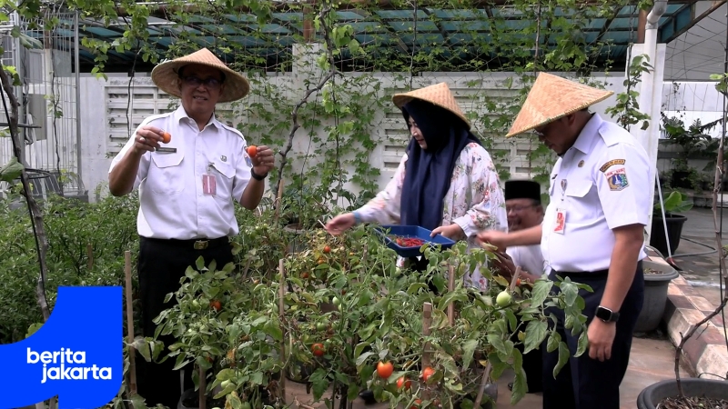 Panen Raya Jakarta Utara Hasilkan 946 Kilogram Produk Pertanian dan Perikanan.mp4