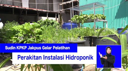 310221-Anita-JakPreuner KPKP Gelar Pelatihan Hidroponik Melalui Online_2.mp4