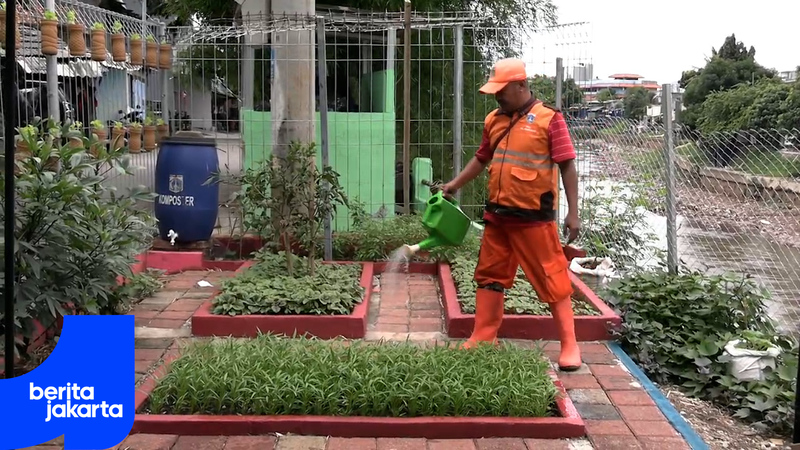 Lahan Tidur di Kelurahan Kebon Baru Disulap Jadi Kebun Produktif