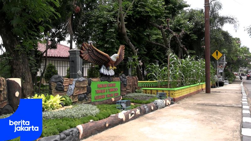 Perkuat Ketahanan Pangan, Kelurahan Tanjung Barat Tanam Ratusan Pohon Jagung