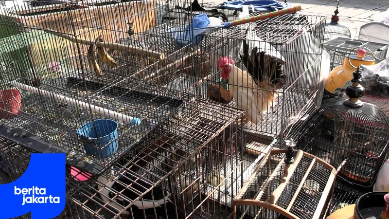 Pedagang Eks Pasar Barito Digratiskan Biaya Sewa Enam Bulan di Kios Lenteng Agung