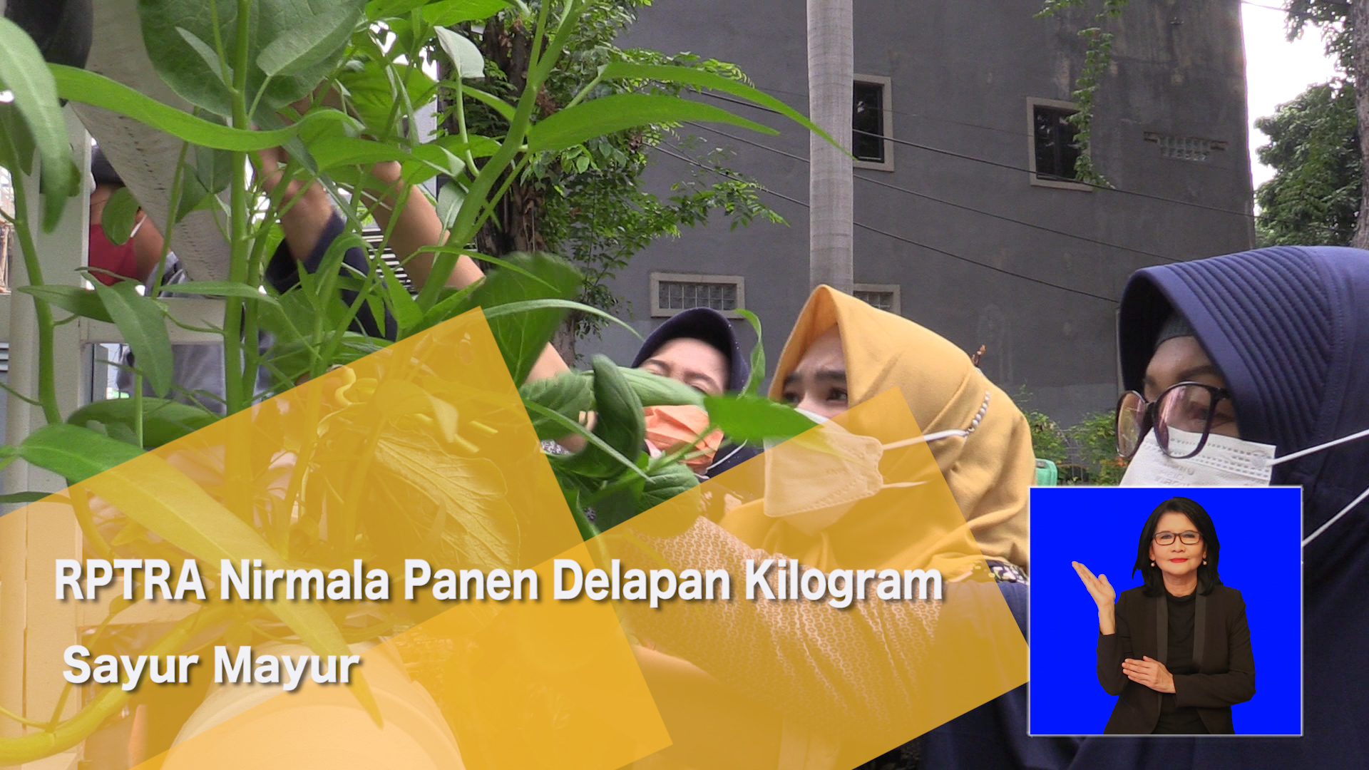 0705_ANITA_RPTRA Nirmala Panen Delapan Kilogram Sayur Mayur.mp4