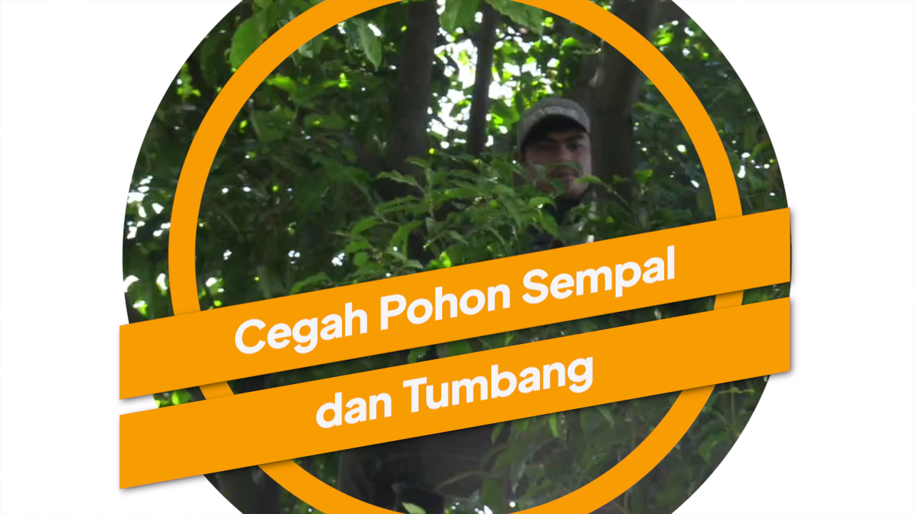 0306_ramdhoni_Pohon di Taman Segitiga Mawar Cipinang Indah Dipangkas.mp4