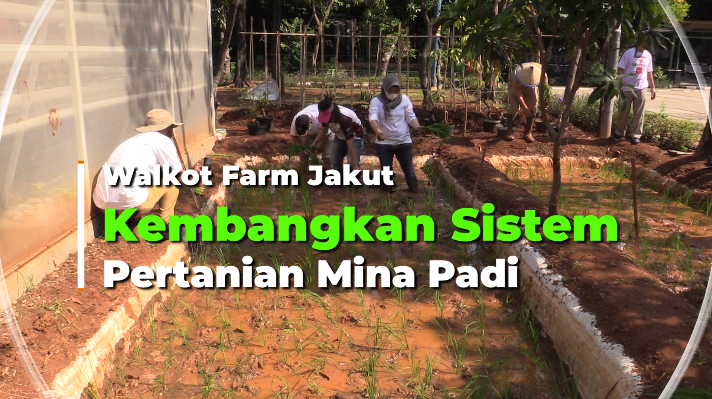 2020_agung_walkot farm.mp4