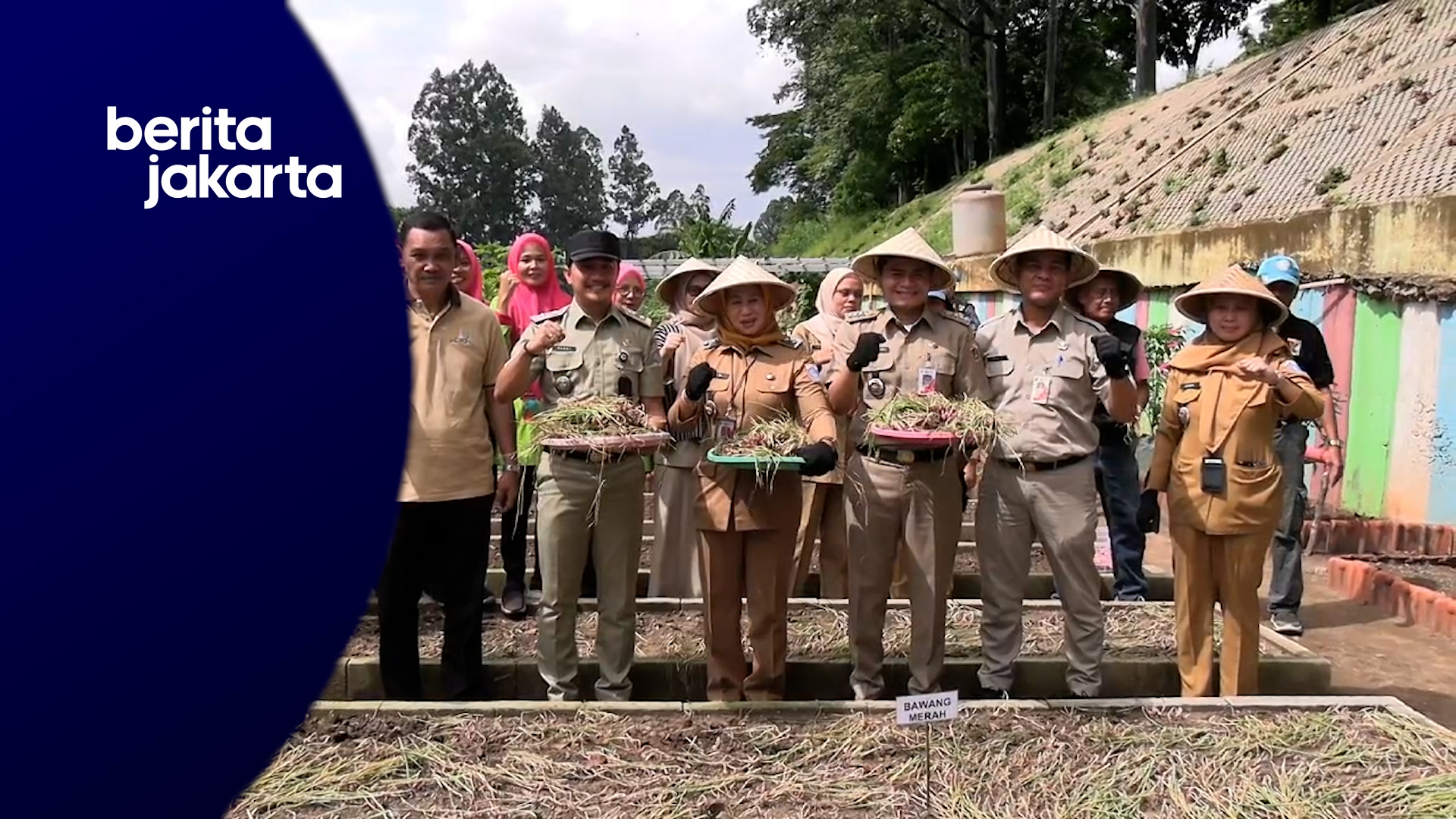 Pemkot Jaktim Panen Sayur Hasil Urban Farming KBT