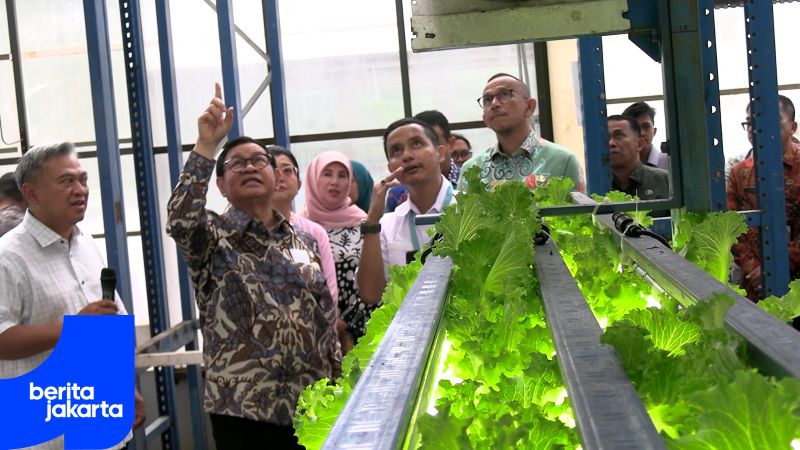 Pramono Admires Vertical Urban Farming Innovation in Lebak Bulus