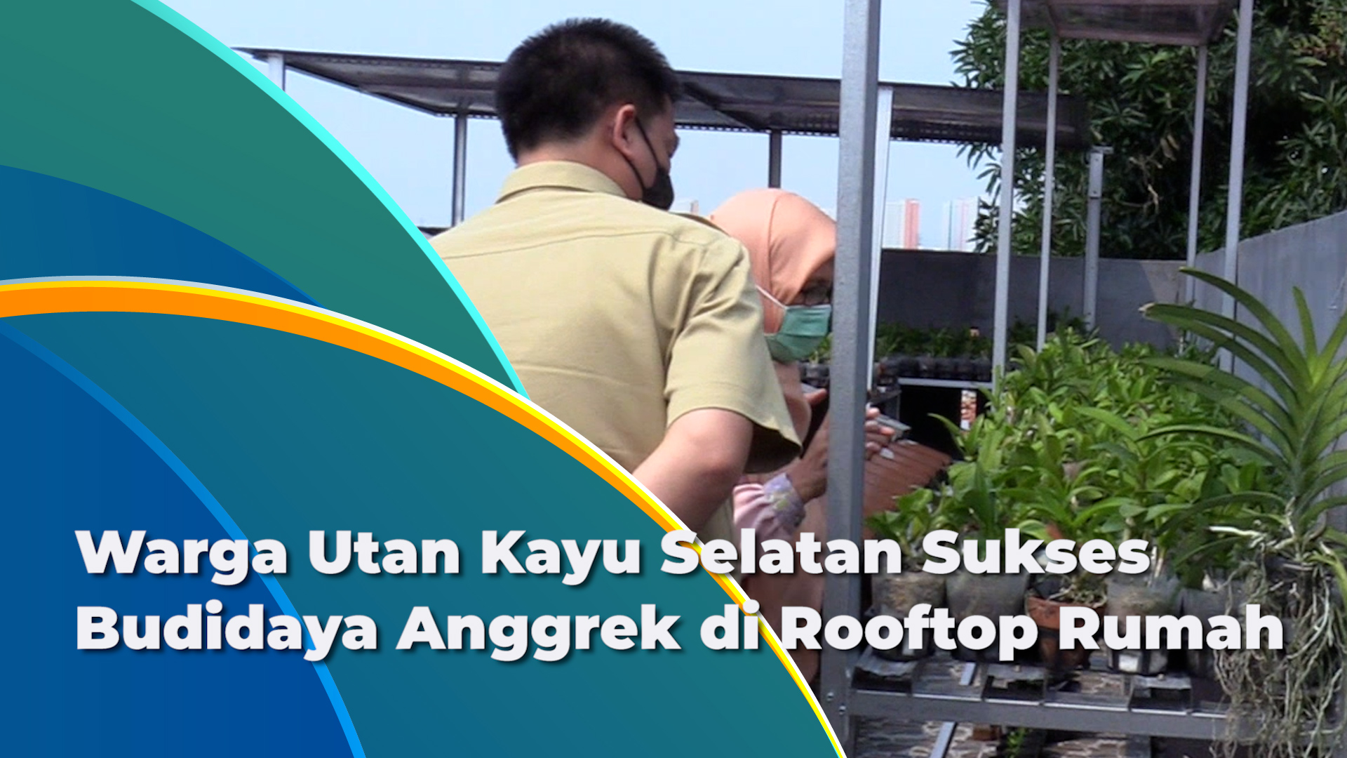 0401_Pembudidayaan Anggrek Oleh Warga Di Rooftoop Dapat Pembinaan Dari DKPKP.mp4