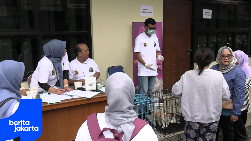 KPKP JAKTIM STERIL KUCING.mp4