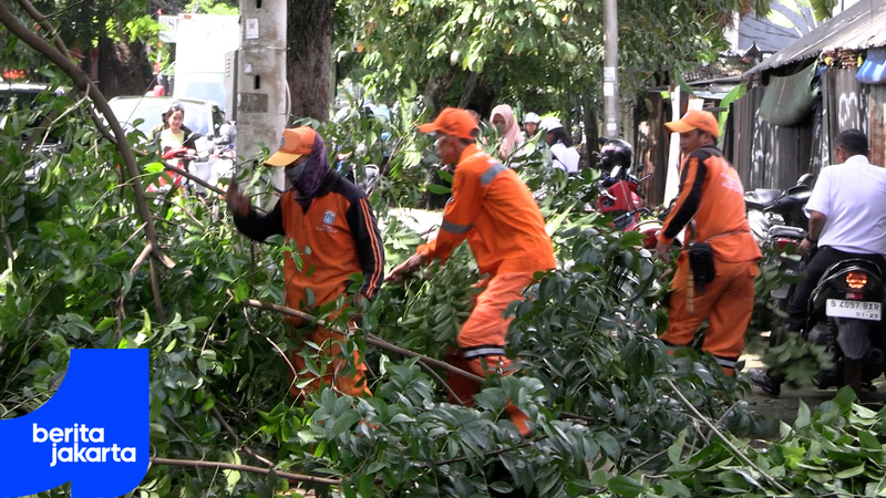 Antisipasi Cuaca Esktrem, Petugas Pangkas Pohon Besar di Bambu Apus Jaktim