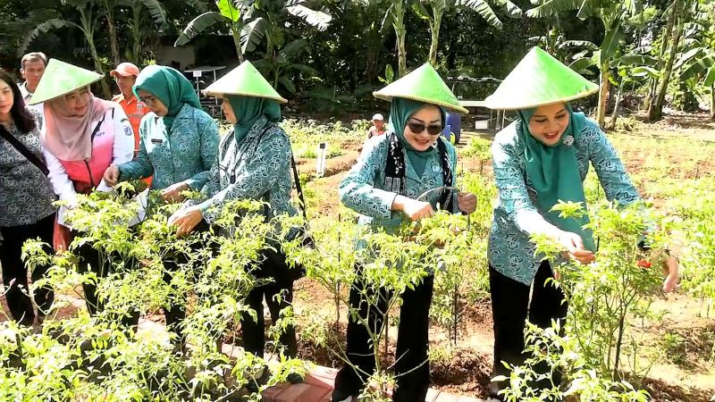 DEWI RANO PKK PAPANGO.mp4