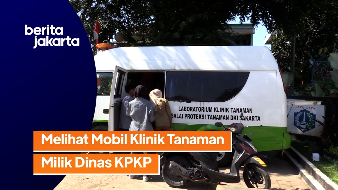 Tanaman KPKP.mp4