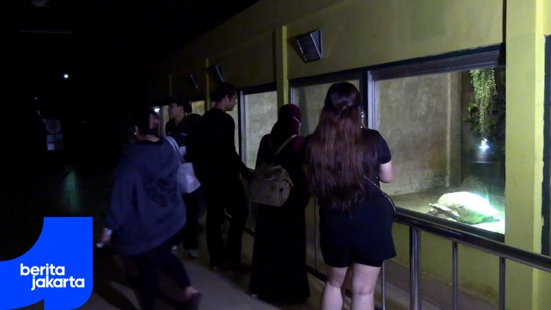 Pengunjung Night at The Ragunan Zoo Tembus 4.713 Orang