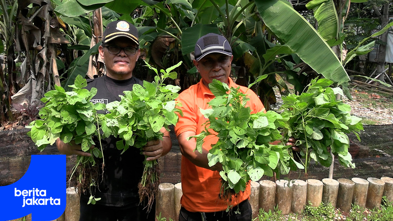 Warga Lenteng Agung Manfaatkan Lahan Tidur Jadi Urban Farming