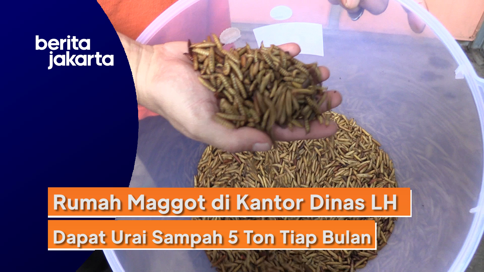 0508_Ramdhoni_Rumah Maggot di Kantor Dinas LH DKI Dapat Urai Sampah 5 Ton dalam Sebulan.mp4