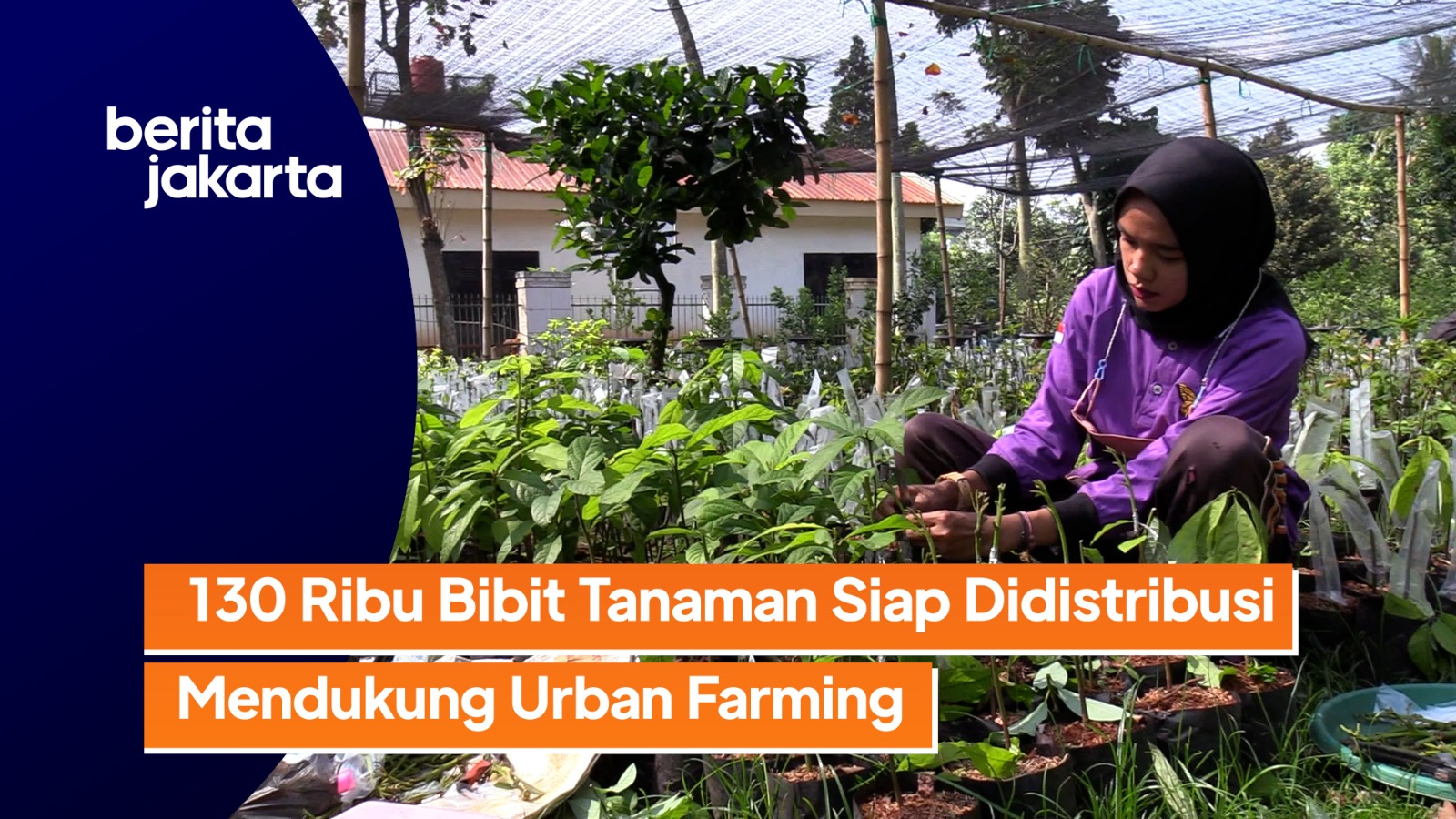 0303_Ramdhoni_Tahun 2023 Ratusan Bibit Tanaman Produktif Akan Didistribusikan oleh Dinas KPKP.mp4