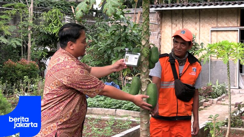 Mengunjungi Kebun Keyla 5 di Kelurahan Grogol Selatan