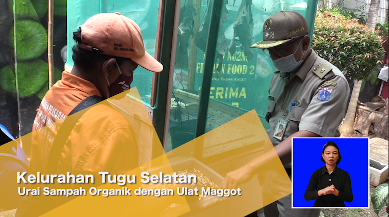 180521-Kelurahan Tugu Selatan Urai Sampah Organik dengan Maggot.mp4