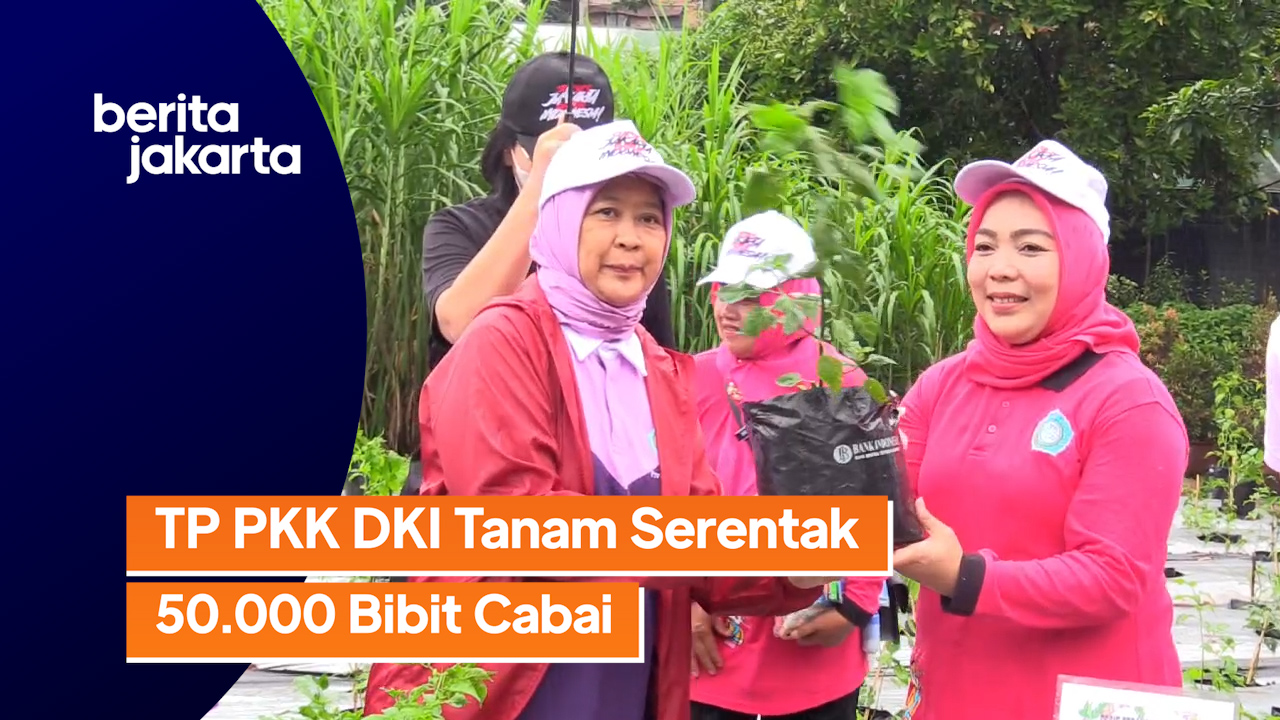 1901_Ramdhoni_TP PKK DKI Tanam 50.000 Bibit Cabai Serentak di 400 Lokasi.mp4