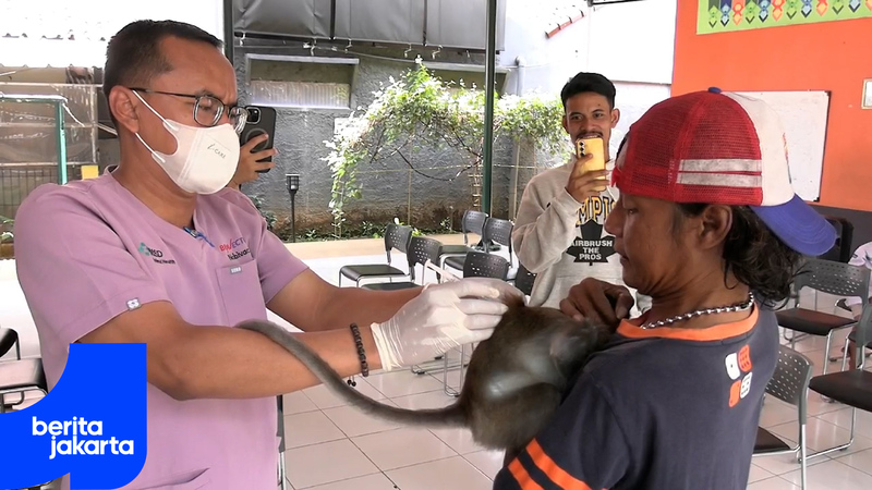 Pasar Minggu KPKP Holds Pets Vaccination