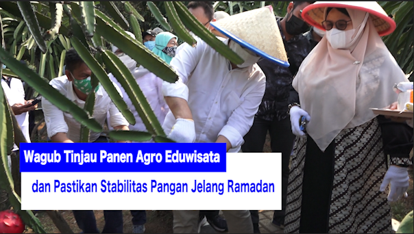 2803_YOANA WAGUB AGRO EDUWISATA.mp4