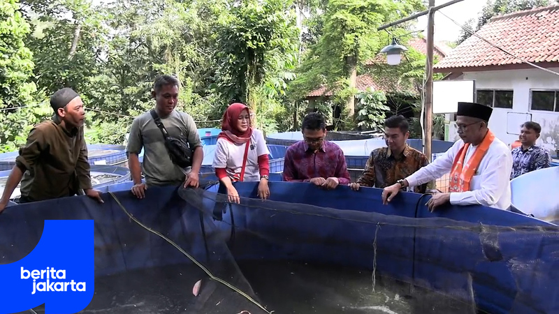 400 Kilogram Ikan Nila di Panen di Pokdakan Mina Muda Kreatif