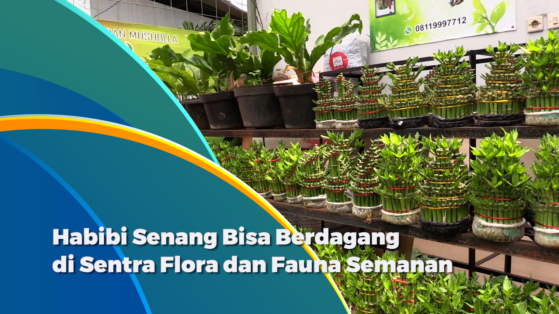 2501_aqil_sentra flora fauna semanan.mp4