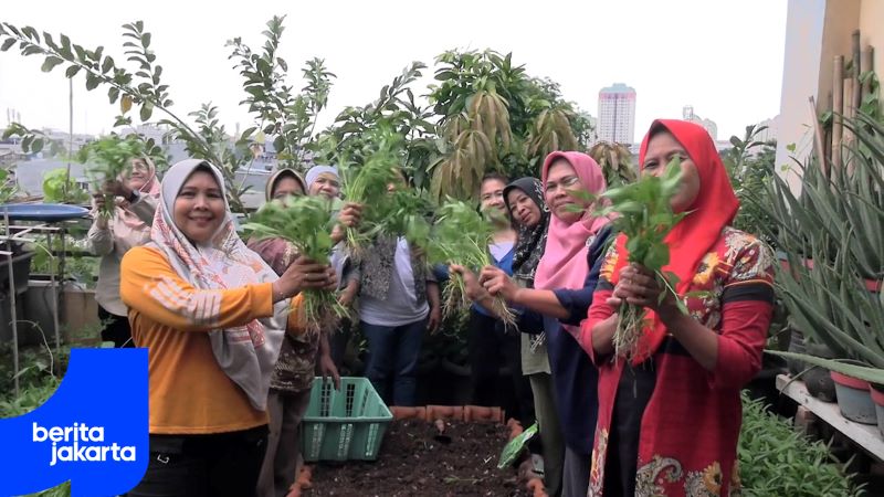  PKK Kelurahan Tangki Manfaatkan Rooftop Jadi Lahan Urban Farming