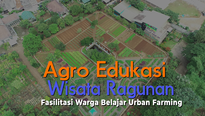 2601_agrowisata_ragunan_wweb.mp4